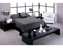 ���� ALBANY 365 