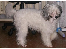 ��� �����  (2).jpg