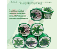 ������ � ������.JPG