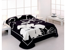 ���� NOVA LINEA 440 