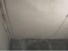 ����������� 019.jpg