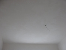 ����������� 037.jpg