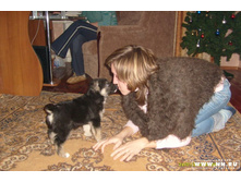 ������ � �����)