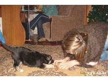 �������)