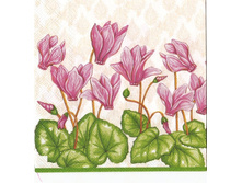 № 105   1/4 ��������   10  ���    10 ��.