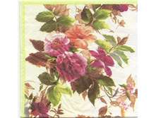 №108    1/4 ����    10 ���     10 ��.