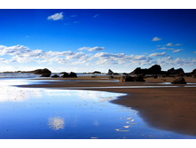 Invasion of the Liquid.jpg