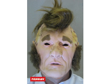 show_image_in_imgtag (3).jpg