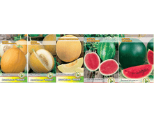 ����, ������.png