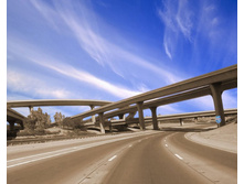 Longhorn Stay The Course Bliss.jpg