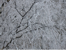 ��� �� ����. 13.01.2013.