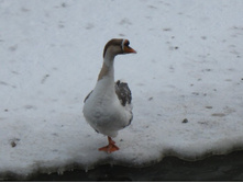 �������!