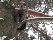 ��� �ޣ���.