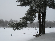 � ����� ����� - ������� ����.