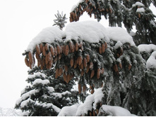 ���������. � ������ ����� ��� - ������ � �������!