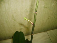 ����� ���� �� ������ ���������