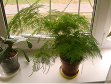 ��������� ��������