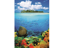 374 Murals 4 ����� 183 � 254 �� 654���