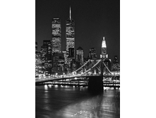 417Murals 4 ����� 183 � 254 �� 654���