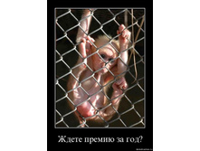 18489945-bezyan.jpg