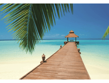 284 Murals 8 ������ 366 x 254 ��. 934���