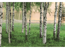 290 Murals 8 ������ 366 x 254 �� 934���