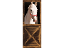 508 Door Murals 86 x 200 �� 410���