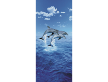 599 Door Murals 86 x 200 �� 410���
