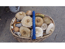 �� ��� - ��������.