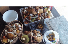 ����� ���� �����...