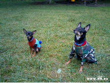 ���� � ����