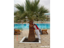 ������ ������:)