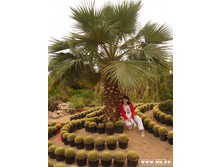 ����� ��������:)