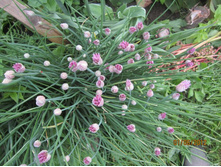  �����-���