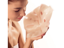 ������������� SOLEX SPA 755�