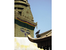 ����� �������, ��������. ����� ������� ����� � ������. 