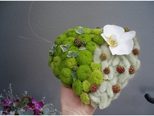 ��������� ��� �����