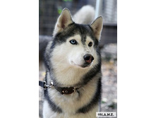 ������ ��� ��������