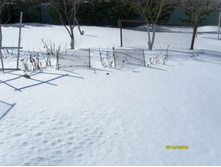 ���� ��� ������.JPG