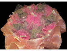 «��������� ����»