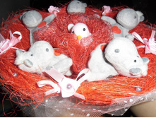 «����������» 