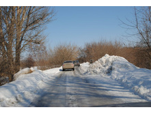 DSC_0175.jpg