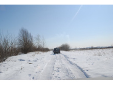 DSC_0183.jpg
