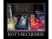 ��� ������.jpg