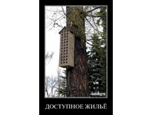 ��������� ���أ.jpg