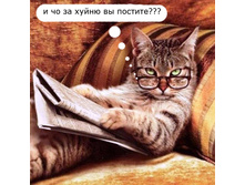 ���� � �������.jpg