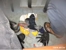 ������ ������