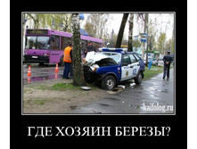 ������ ��ң��.jpg