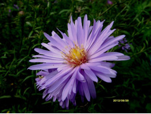 ����� ��������������� «���� �������»