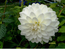 �������� ����� �������.JPG